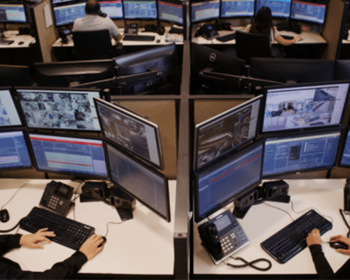 Untitled design (41)