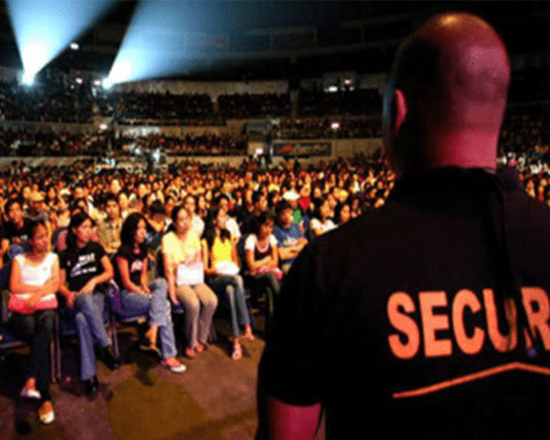 Untitled design (44)